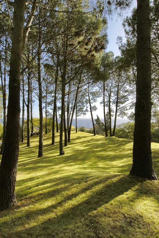 Hotel Del Lago Golf & Art Resort Punta Ballena Luaran gambar